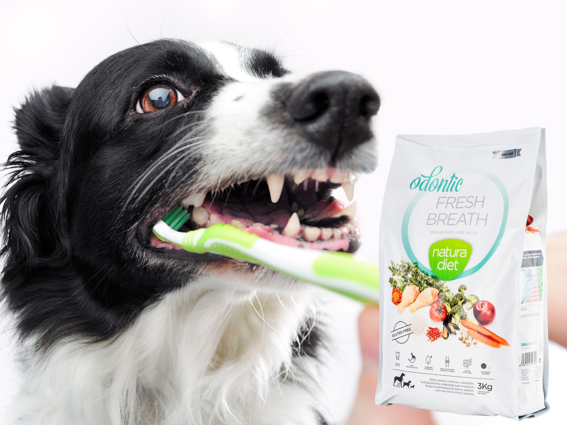 Natura diet Odontic, aliment pour chien préventif tartre et mauvaise haleine Natura diet Odontic, aliment pour chien préventif tartre et mauvaise haleine
