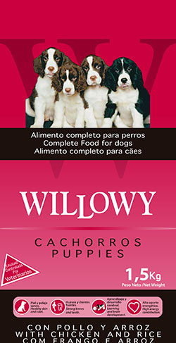 willowy chiots poulet et riz