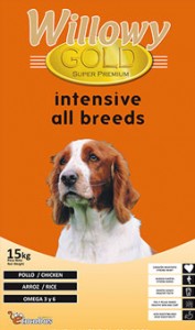 Willowy Gold Intensive All Breeds