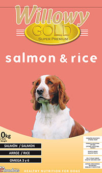 Willowy Gold Saumon et riz