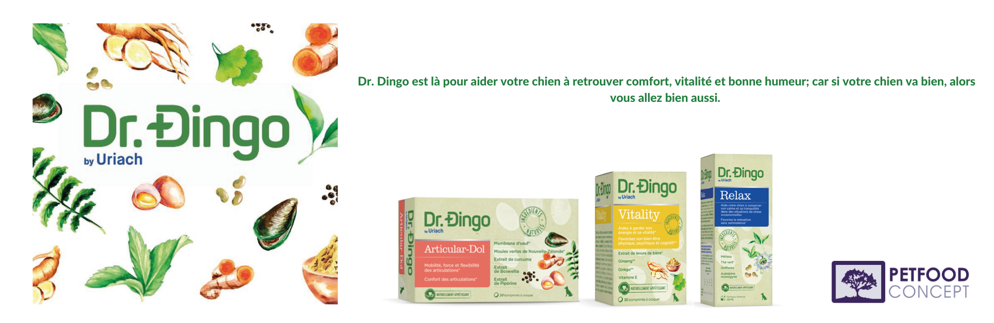 Dr.-Dingo-est-là-pour-aider-votre-chien-à-retrouver-comfort-vitalité-et-bonne-humeur-car-si-votre-chien-va-bien-alors-vous-allez-bien-aussi.