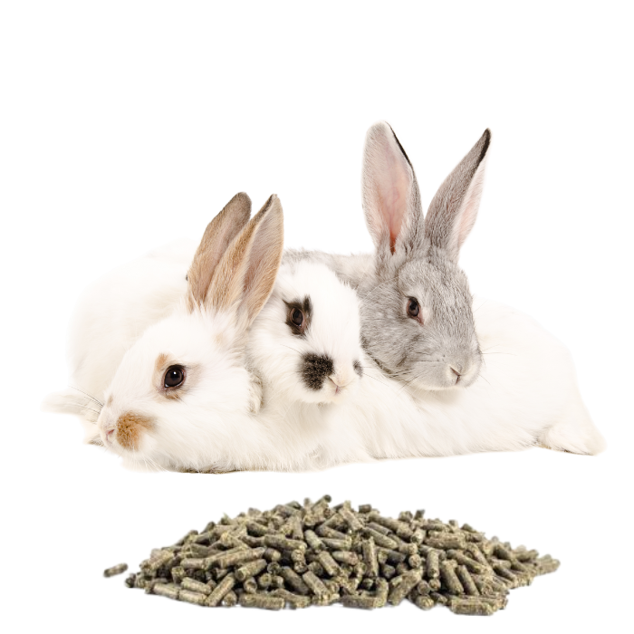 MiniOrycs, Nourriture pour lapins et rongeurs