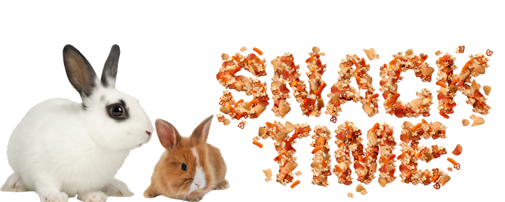 MiniOrycs, nourriture pour lapins et rongeurs