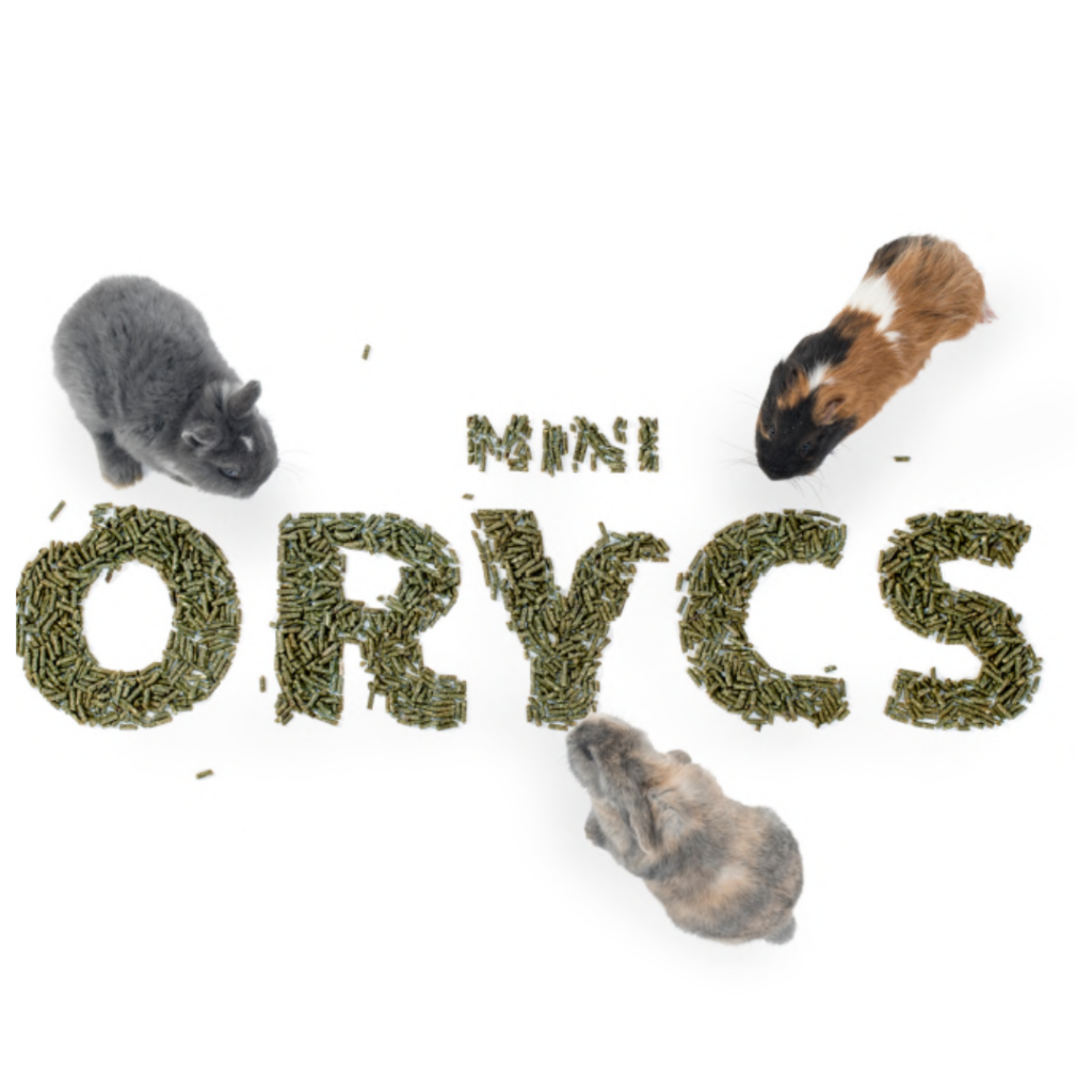 MiniOrycs Logo Rongeurs
