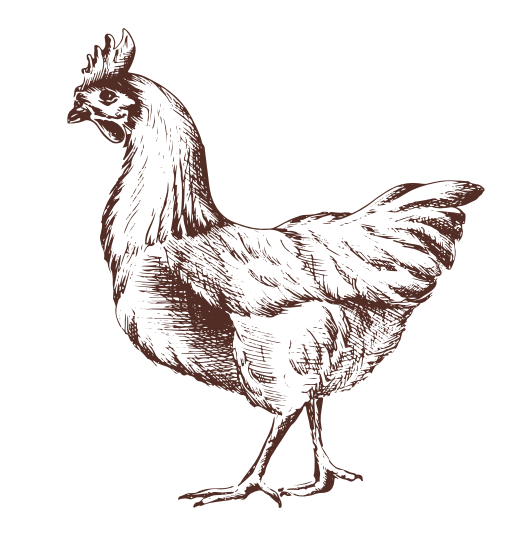 Beauregard Poule