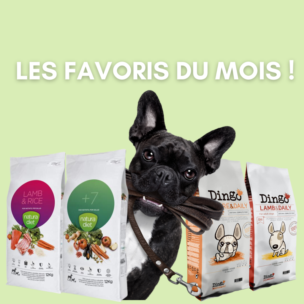 Les produits favoris du mois. Blog Petfood Concept