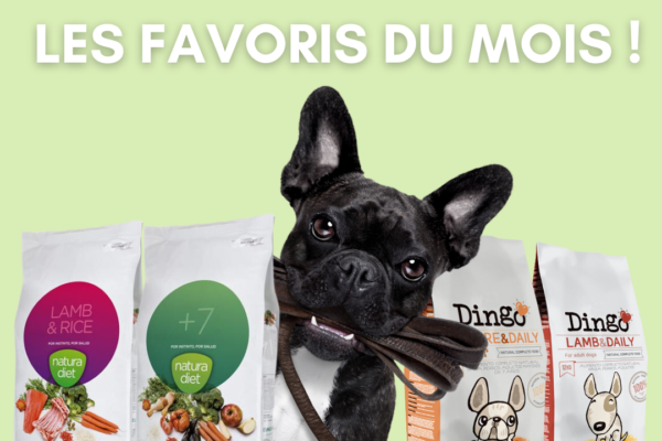 Les produits favoris du mois. Blog Petfood Concept