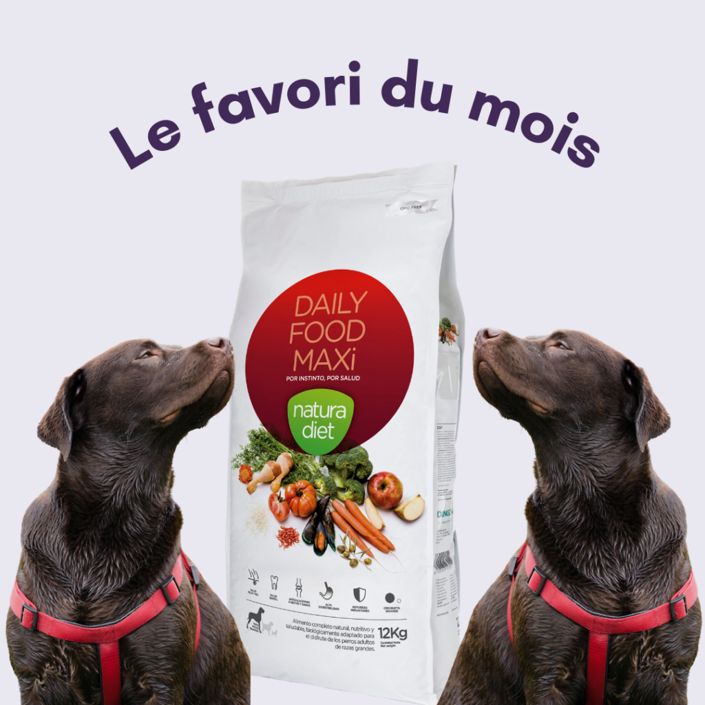 Favori du mois : Daily Food Maxi