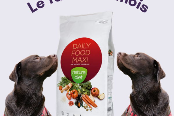 Favori du mois : Daily Food Maxi