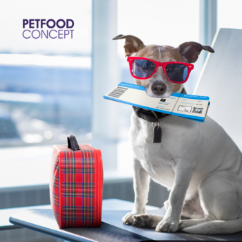 PetfoodConcept_RéseauxSociaux_Copyright 2023